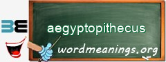 WordMeaning blackboard for aegyptopithecus